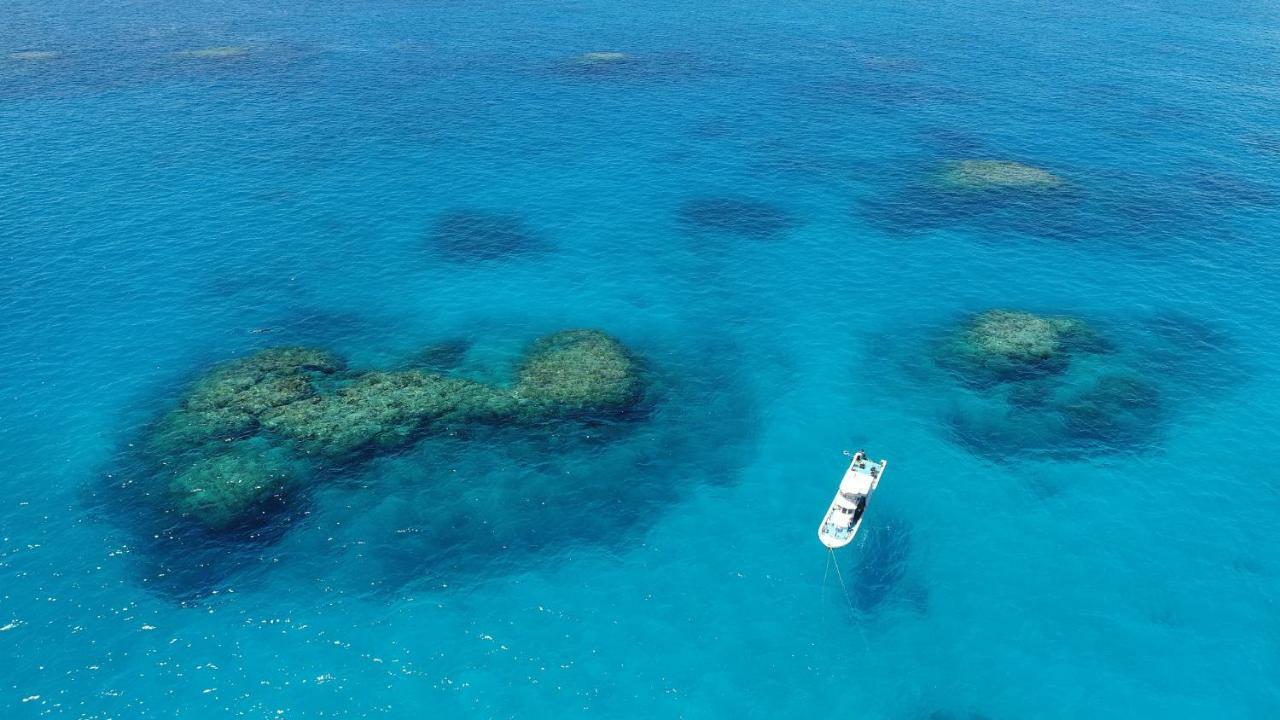Umi No Nakama Otel Ishigaki  Dış mekan fotoğraf